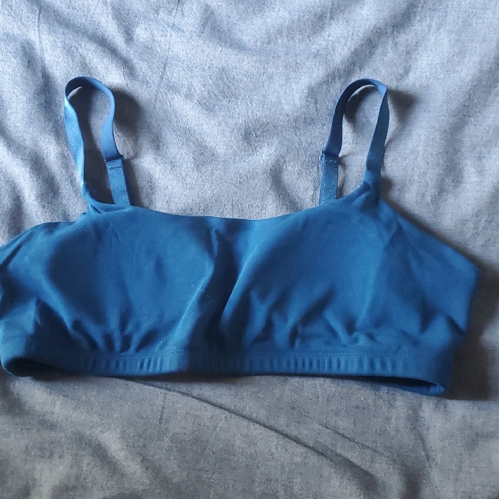 Namarie Blue Seamless Hemp Bra NWOT XL
